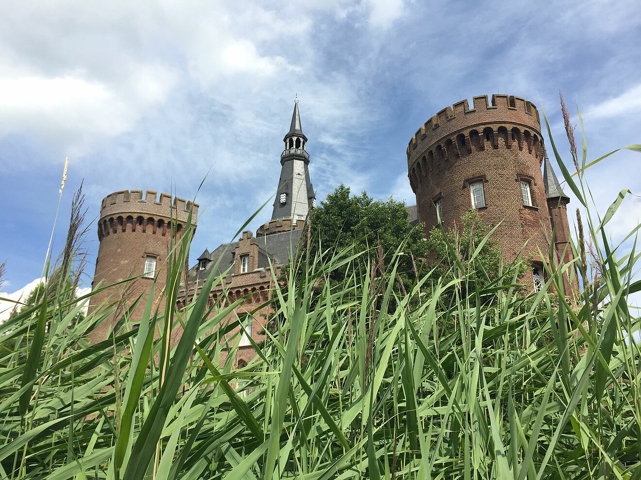 Schloss Moyland hinter hohen Gräsern