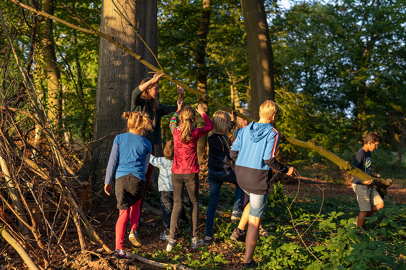 Kinder bauen eine Hütte aus Ästen und Zweigen